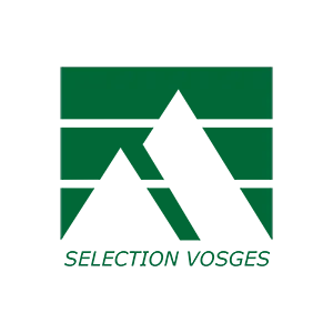 SV-icon