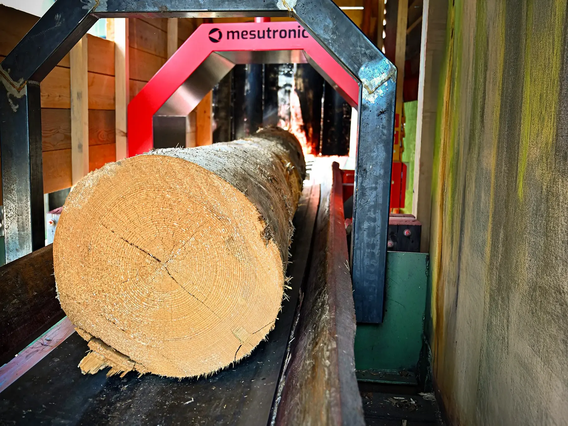 cyclebois-parc a grumes-détecteurs de métaux-ph2