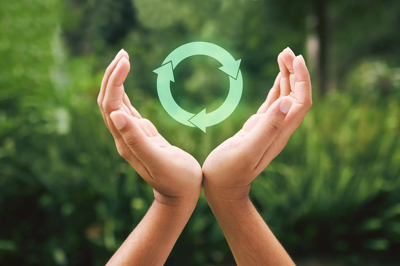oriel-photos-eco-friendly-4
